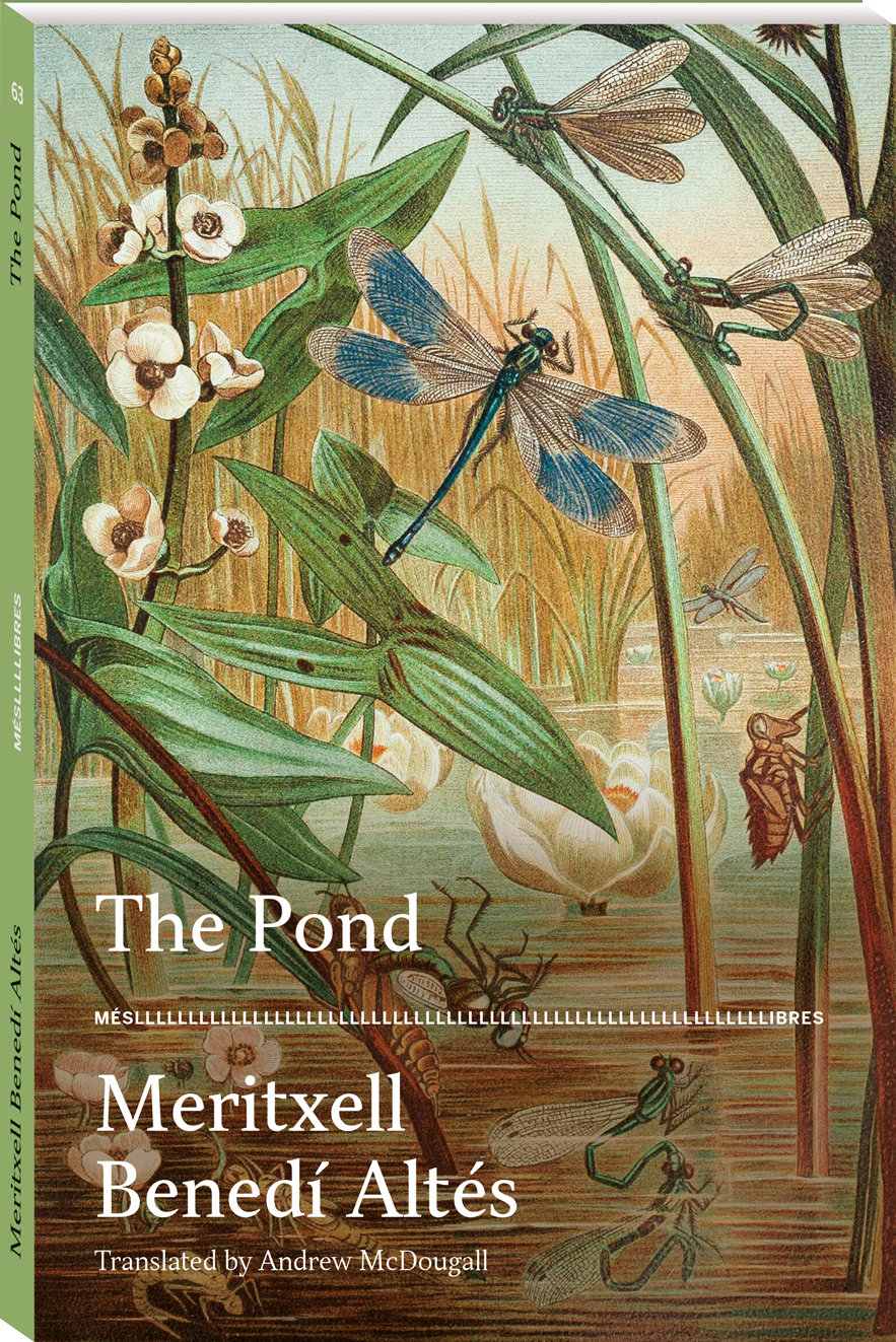 The Pond